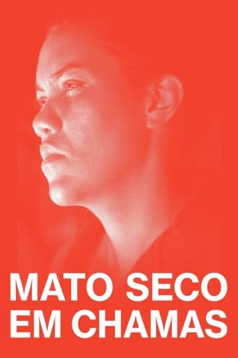 Mato Seco em Chamas