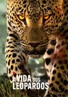 A Vida dos Leopardos