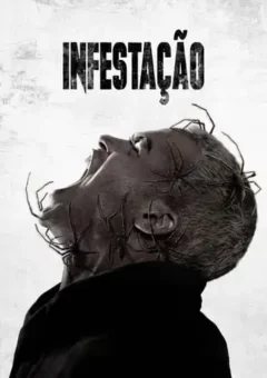 Infestação